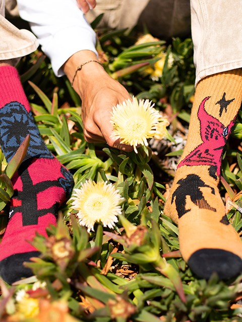 Volcom Featured Artist Bob Mollema Socks 4 Pack Assorted Colors | 206785-KWO