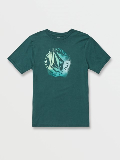 Volcom Toy Krátké Sleeve Tee Tmavě | 698710-VWP