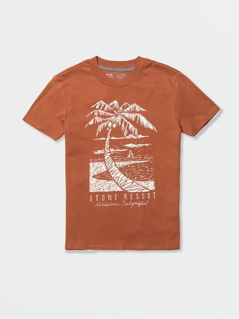 Volcom Volcay Day Krátké Sleeve Tee Shirt Tmavě | 718230-LXA